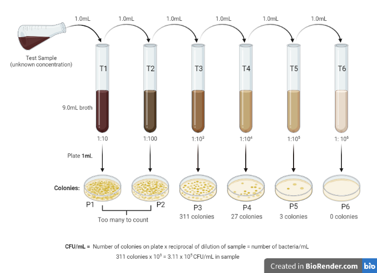 Serial dilution method - Serial dilution method for estimating viable count of bacteria