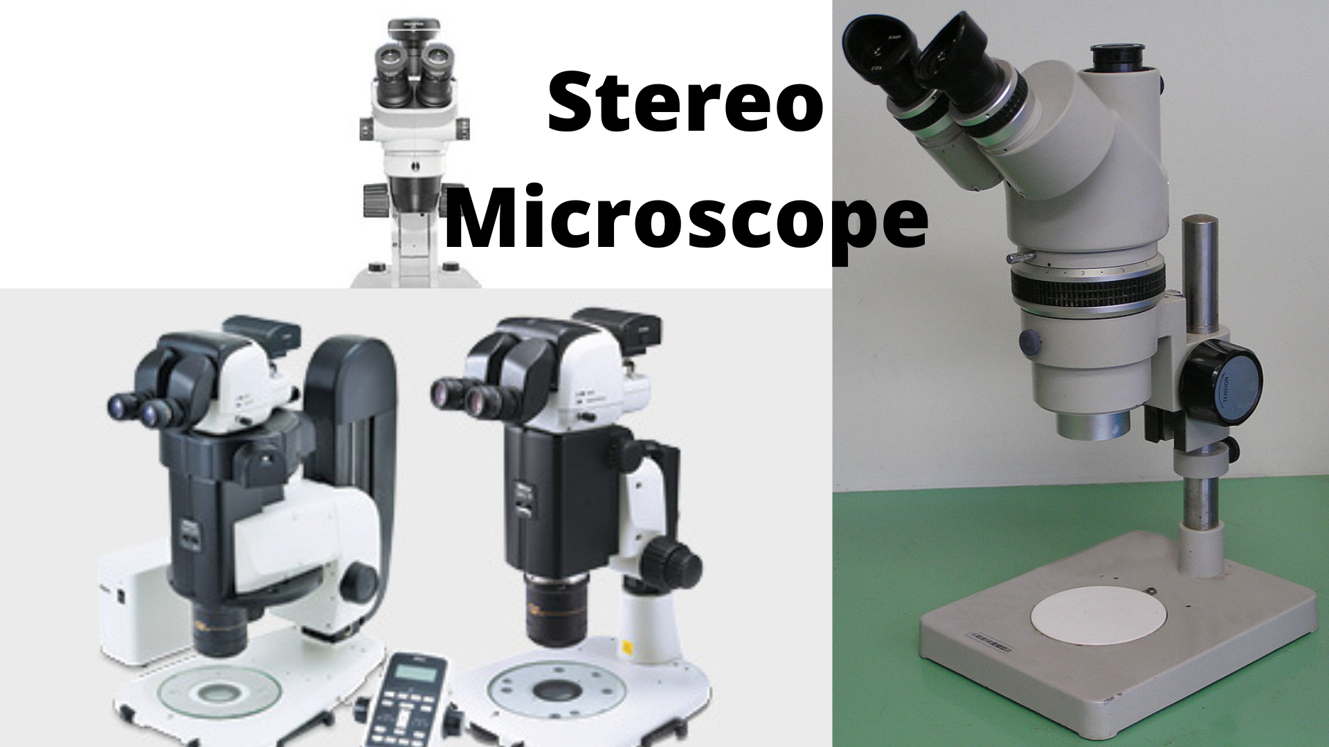 Stereo Microscope - Stereo microscope