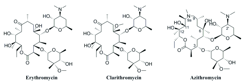 Structure of macrolides - Structure of macrolides