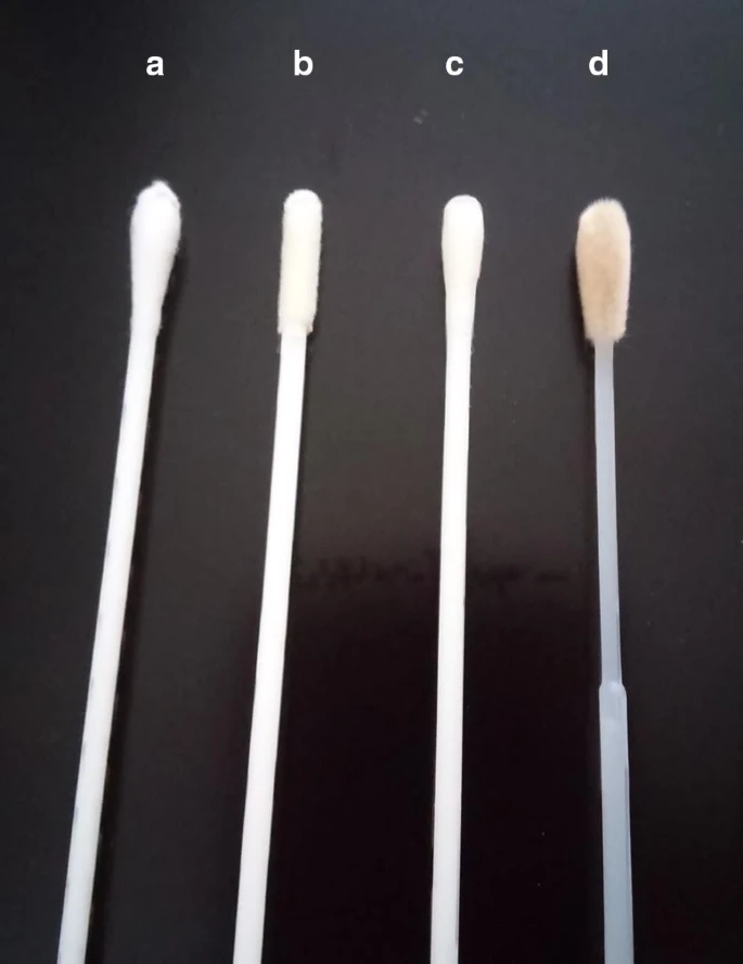 Various Types of Sample Collections Swabs - Various Types of Sample Collections Swabs