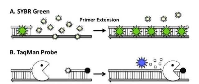  - Popular Real-time detection methods