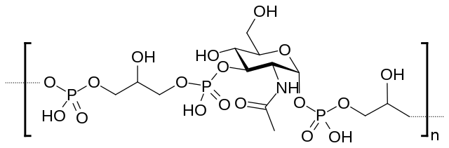 Structure of Wall Teichoic acid from Micrococcaceae - Structure of Teichoic acid from Micrococcaceae