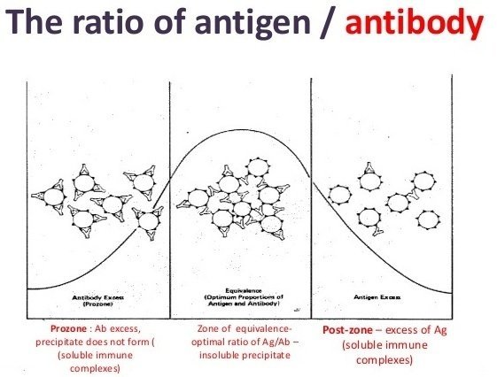 Prozone phenomenon -