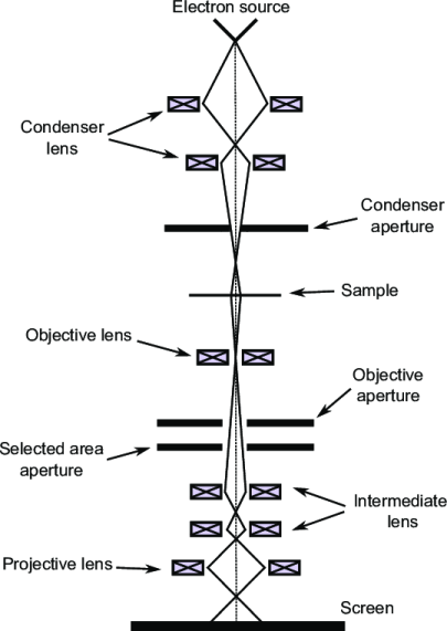 Schematic diagram of Transmission Electron Microscope - Schematic diagram of Transmission Electron Microscope