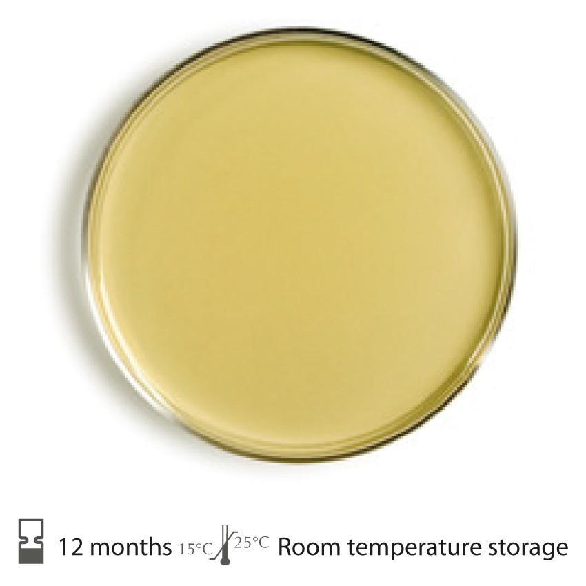 Tryptic soy agar - Tryptic Soy Agar Plate (source:mkldiagnostics)