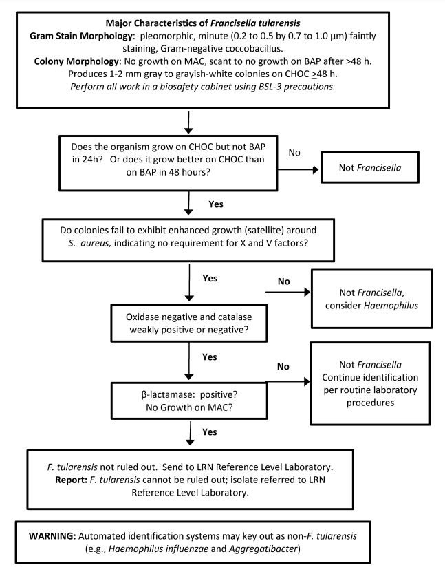  - Francisella tularensisidentification flowchartImage source: Laboratory Response Network (LRN)