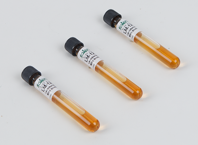 Uninoculated MRS broth tube - Uninoculated MRS broth tubes