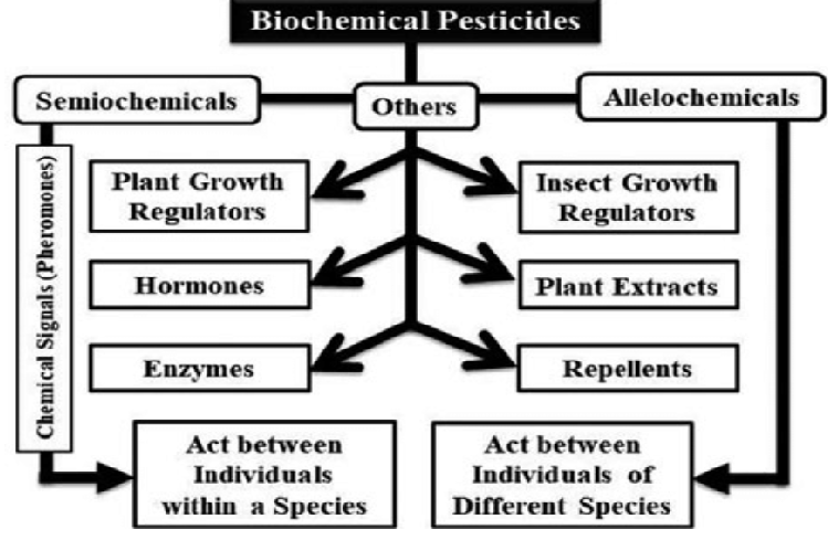 Biochemical pesticides - Bio-chemical pesticides. Source: ResearchGate