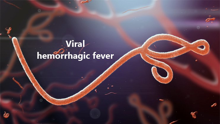 viral hemorrhagic fever
