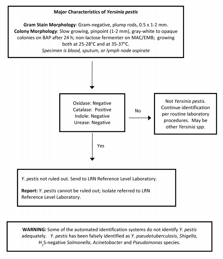  - Y. pestisidentification flowchart.Image source: Laboratory Response Network (LRN)