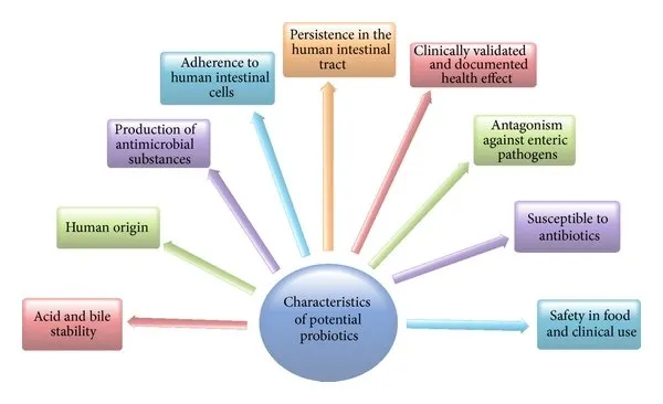 Characteristics of potential probiotics - Characteristics of potential probiotics