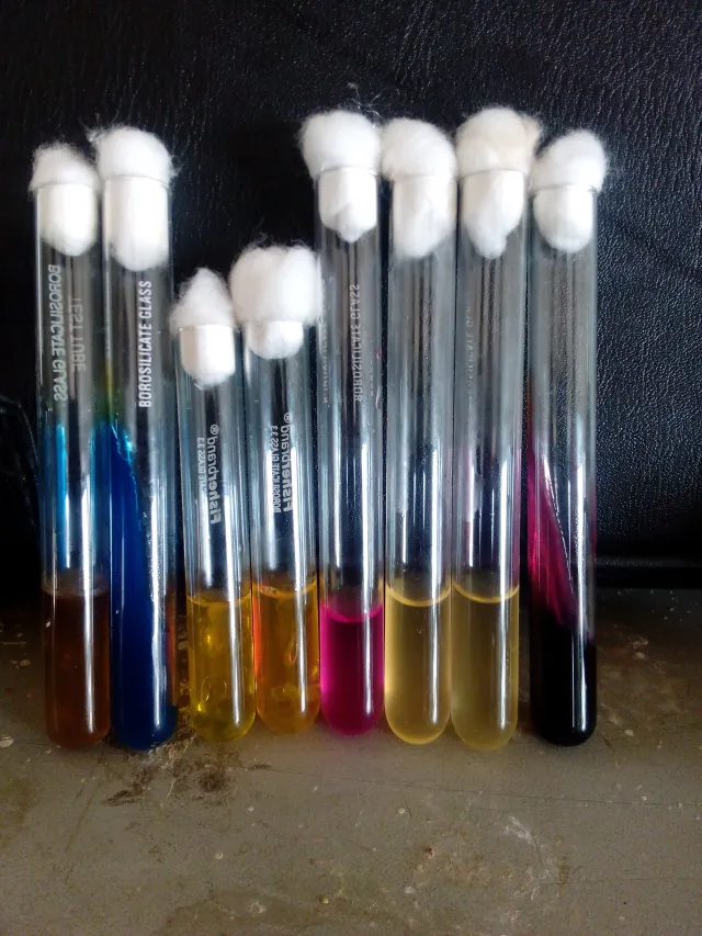 Biochemical media in test tube