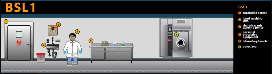 Biosafety Level One - Biosafety Lab Level 1 (BSL-1)