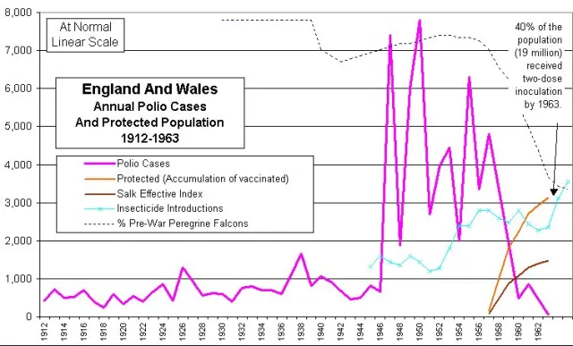 History of Polio - Source: Hamilton, A. (2022).The History of Polio, thoughts on a lecture by Tim Mason PhD. Rosemary Cottage Clinic Blog. Retrieved 23 May 2022, from https://rosemarycottageclinic.co.uk/blog/2019/10/25/the-history-of-polio-thoughts-on-a-lecture-by-tim-mason-phd/.