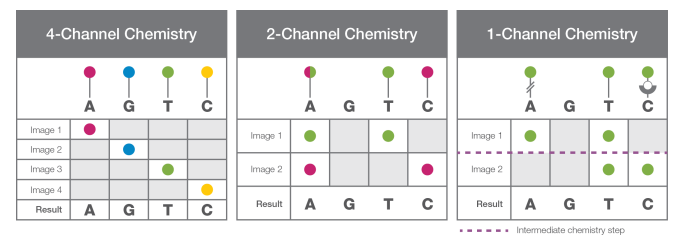Four-, Two- and One- Channel Chemistry: Four Channel chemistry uses nucleotides labelled with four different dyes, Two channel chemistry uses two different fluorescent dyes and one channel Chemistry uses only one dye. - Four-, Two- and One- Channel Chemistry: Four Channel chemistry uses nucleotides labelled with four different dyes, Two channel chemistry uses two different fluorescent dyes and one channel Chemistry uses only one dye. Source: https://www.illumina.com/content/dam/illumina-marketing/documents/products/techspotlights/cmos-tech-note-770-2013-054.pdf