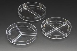 compartment petri plate - Compartment Petri dishImage source:Thomas Scientific