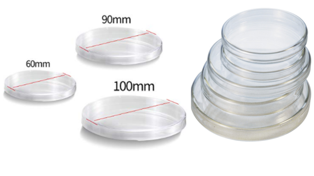 Different size of petri plate - Different sizes of Petri dish