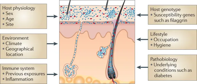 Factors affecting variation in the skin microbiome - Factors contributing to variation in the skin microbiome (imagesource)