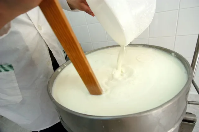 Curd preparation - Source: Slow food