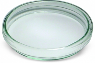 petri dish - Petri dish