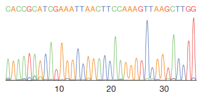 DNA sequences in a graph form detector  - DNA sequences in a graph form detector (Source: Brown, TA. (2010). Gene Cloning And  DNA Analysis An Introduction. )