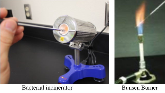  - Sterilization of inoculating loop