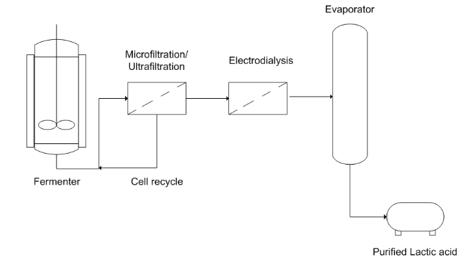 Lactic acid recovery by membrane - Lactic acid recovery by membrane