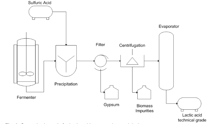 Lactic acid recovery by precipitation.  - Lactic acid recovery by precipitation