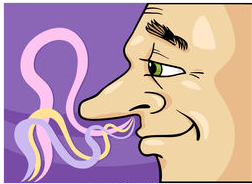 Characteristics smell of microorganisms