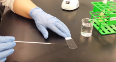 smear making on slide - Smear on a slide, Image source:Susannaheinze