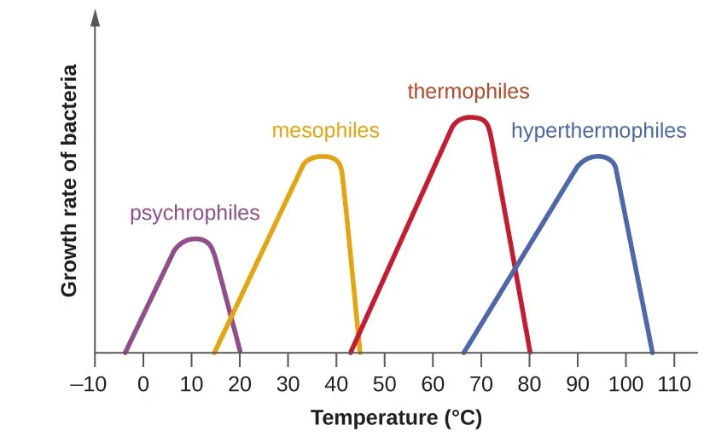 temperature requirement for bacterial growth - Temperature requirement for bacterial growth