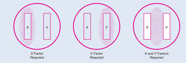 x and v factor requirement test - X and V Factor Requirement Test