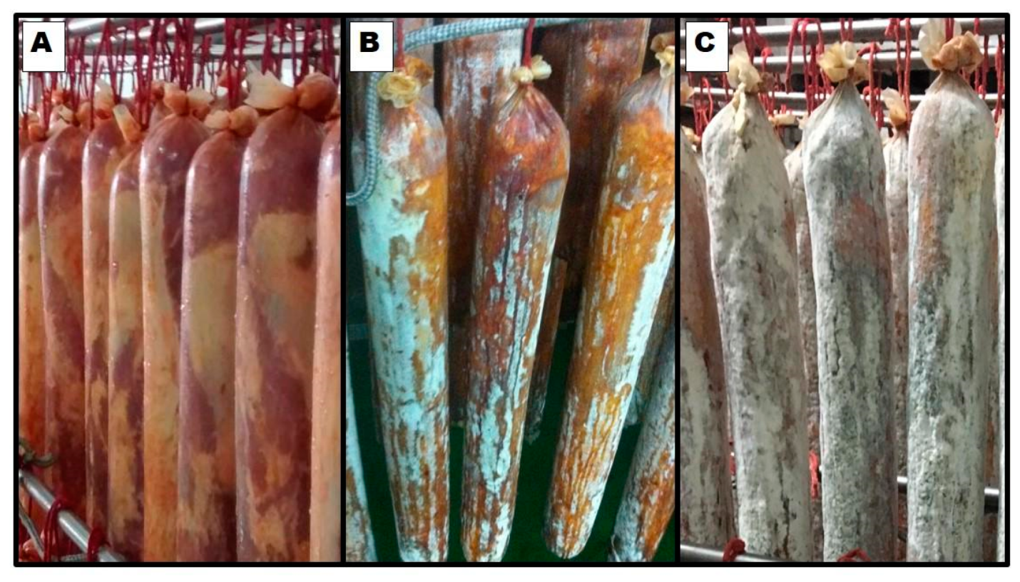 Yeast growth on the surface of pork loins - Debaryomyces hansenii(yeasts) on the surface of pork loins after 0 (A), 10 (B), and 30 (C) days of ripening. Source: https://doi.org/10.3390/microorganisms9071512