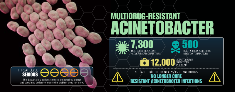 Acinetobacter - Source