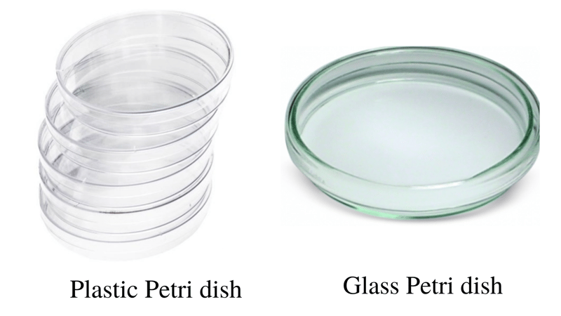 plastic petri plate