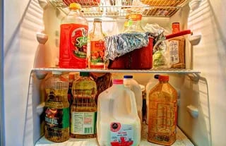 Food preservation by freezing - Food preservation by freezing