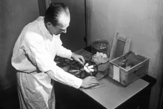 Food irradiation - Food irradiation