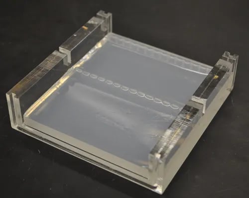- A solidified agarose gel after removal of the comb  (Image Source: Ref-1)