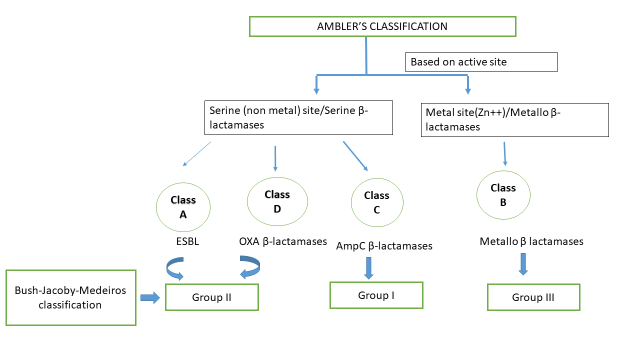 Ambler classification