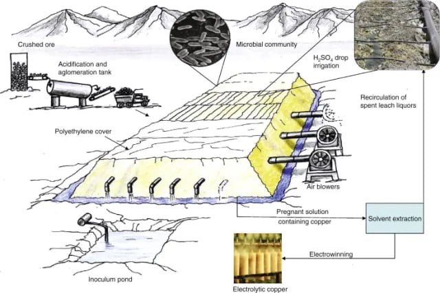 Biomining - Biomining: heap bioleaching process to obtain copper on an industrial scale (source).