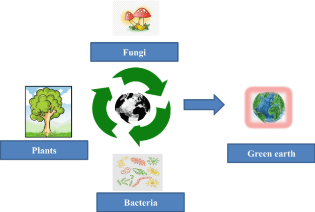 Bioremediation - Bioremediation (Source:nature)