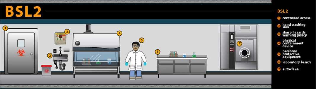 - Biosafety Lab Level-2 (BSL-2)