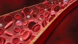 Blood Cells