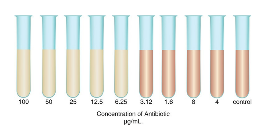Broth dilution susceptibility test (MIC  6.25μg/mL) - Broth dilution susceptibility test (MIC  6.25μg/mL)