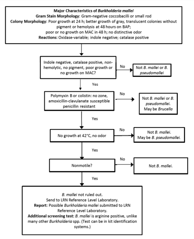 - Flow diagram to rule out or referB. mallei.Image source: Laboratory Response Network (LRN)