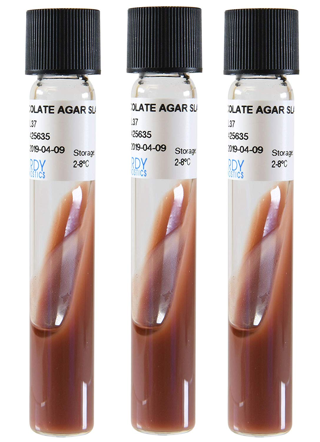 - Chocolate agar slants