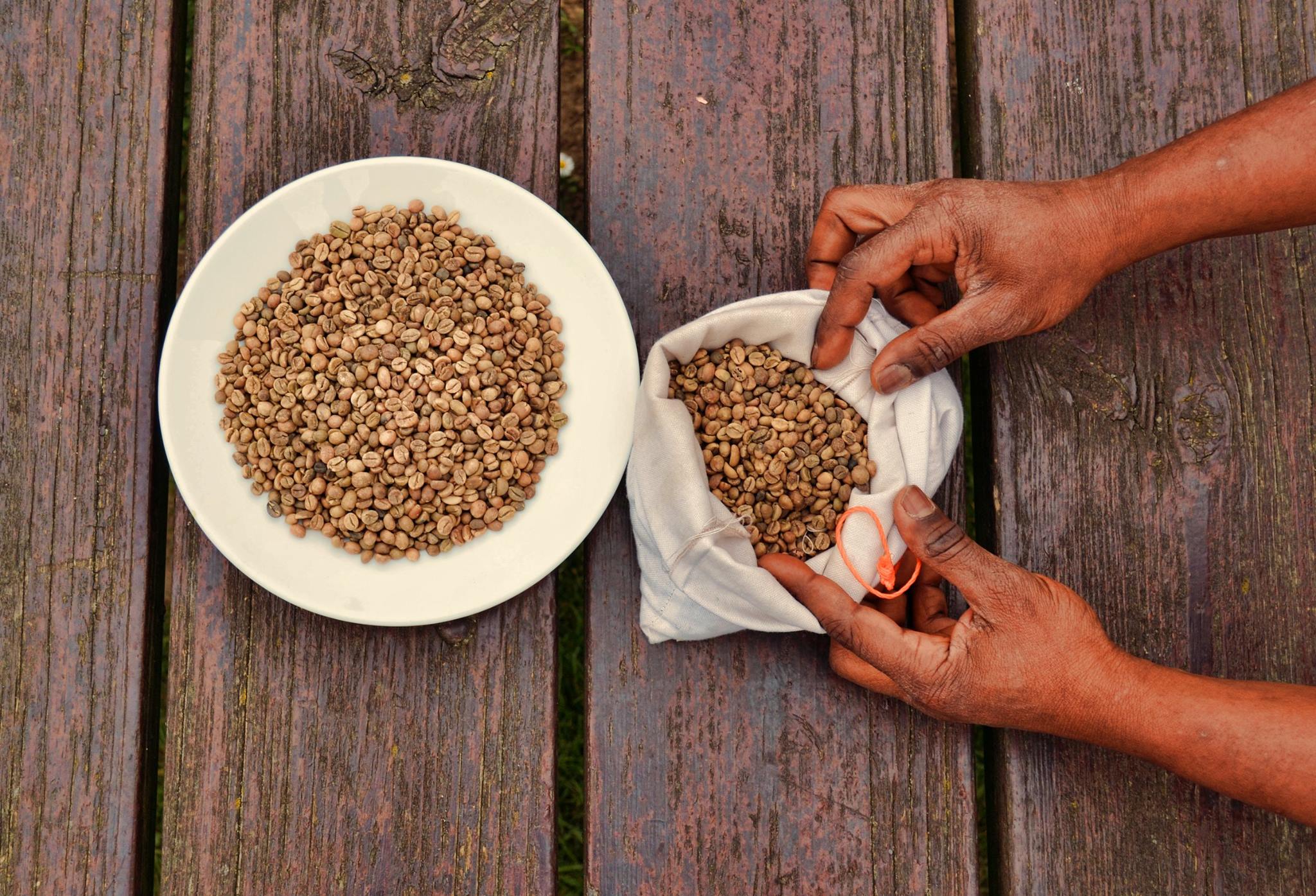 Coffee beans (unroasted) - Coffee beans