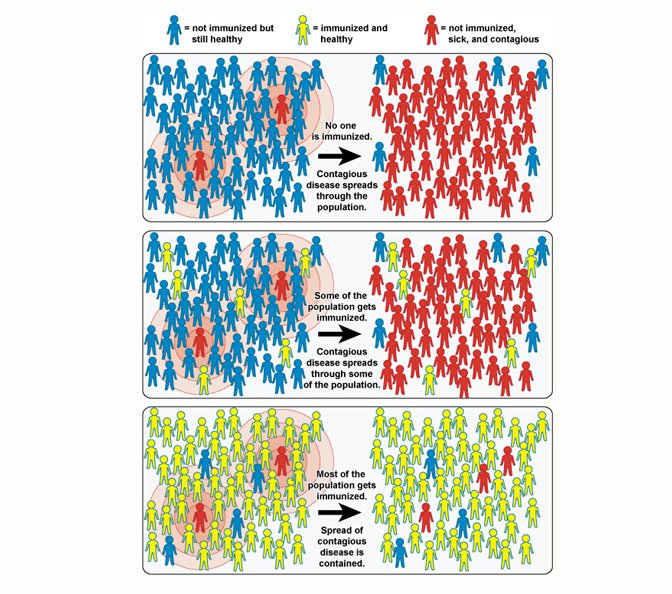 - Herd Immunity (Image courtesy: The National Institute of Allergy and Infectious Disease )