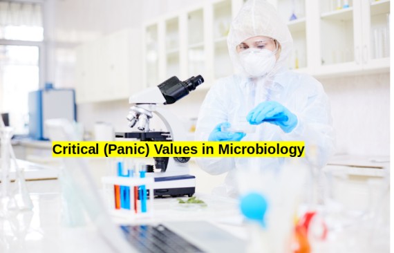 Critical Values in Microbiology