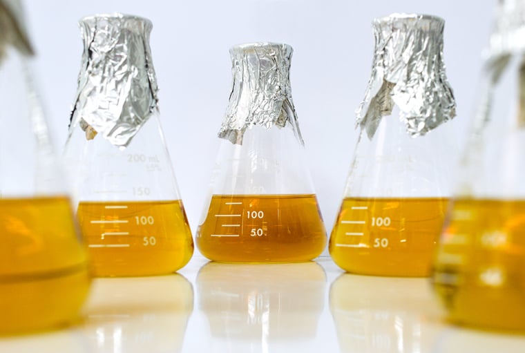 - Conical flasks containing dissolved culture media (imagesource)